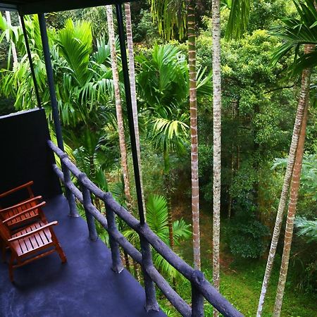 Cool Garden Belihuloya Exterior foto