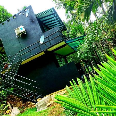 Cool Garden Belihuloya Exterior foto